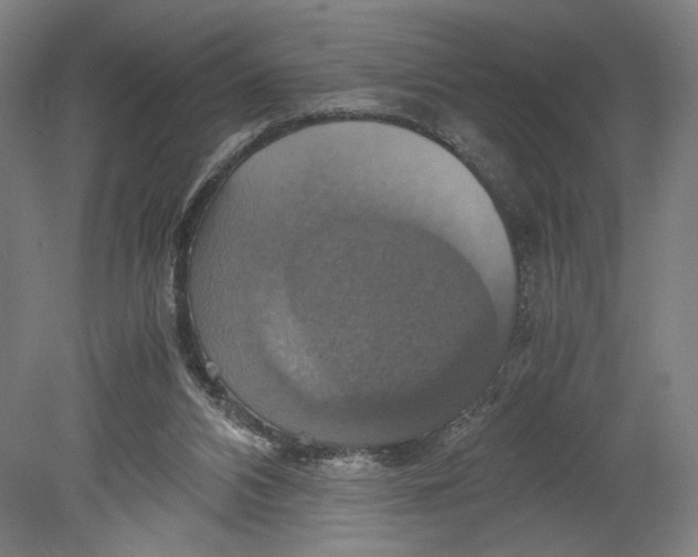 X0000080660112200701050953