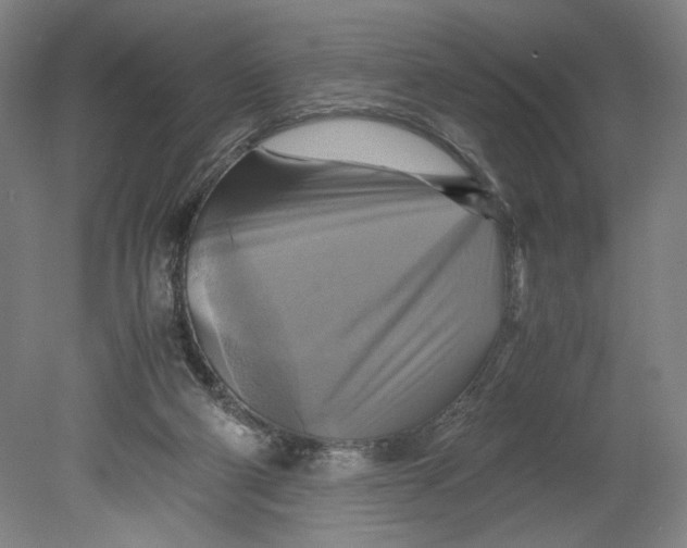 X0000080660114200701050953