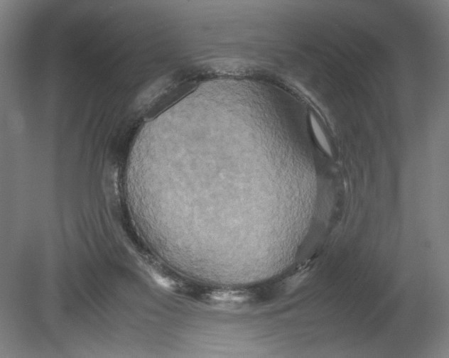 X0000080660117200701050953