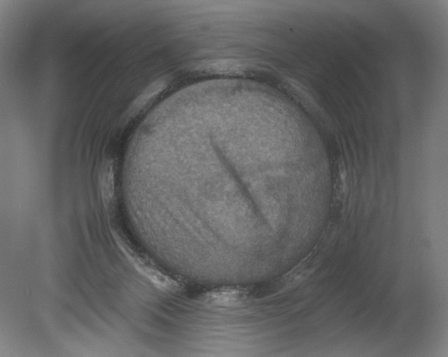 X0000080660120200701050953