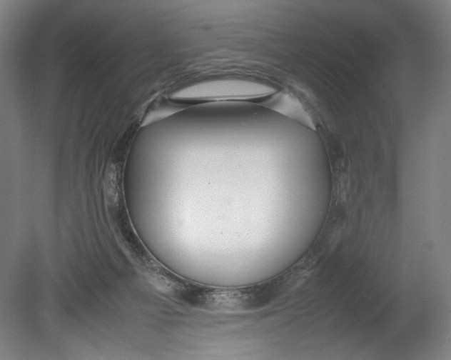 X0000080660121200701050953