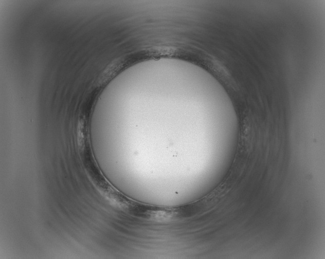 X0000080660122200701050952