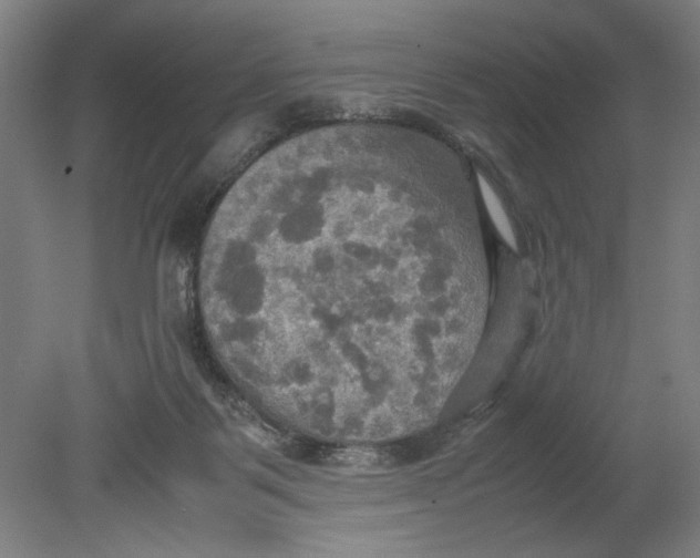 X0000080660123200701050952