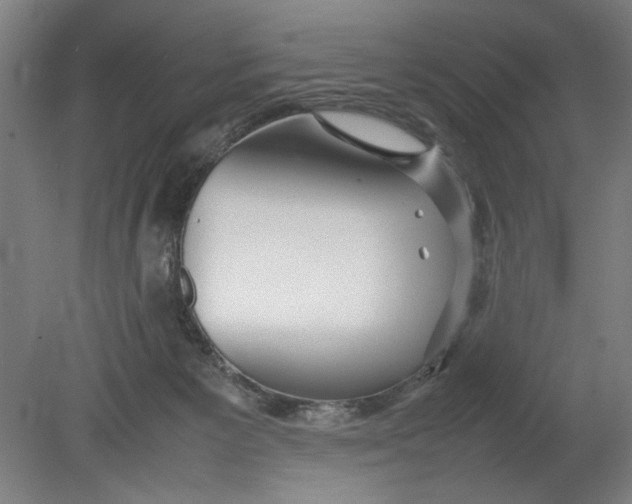 X0000080660125200701050952