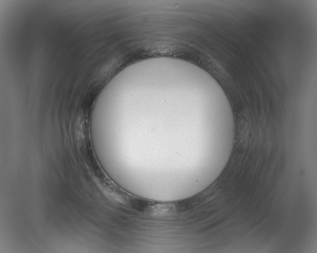 X0000080660126200701050952