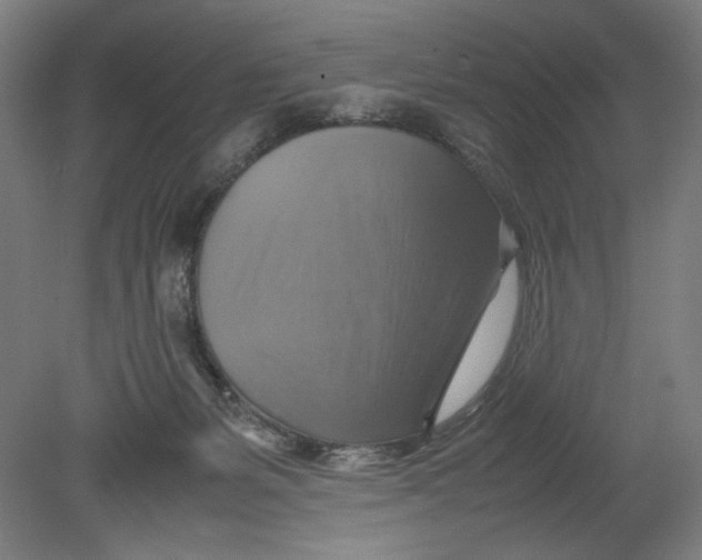 X0000080660127200701050952