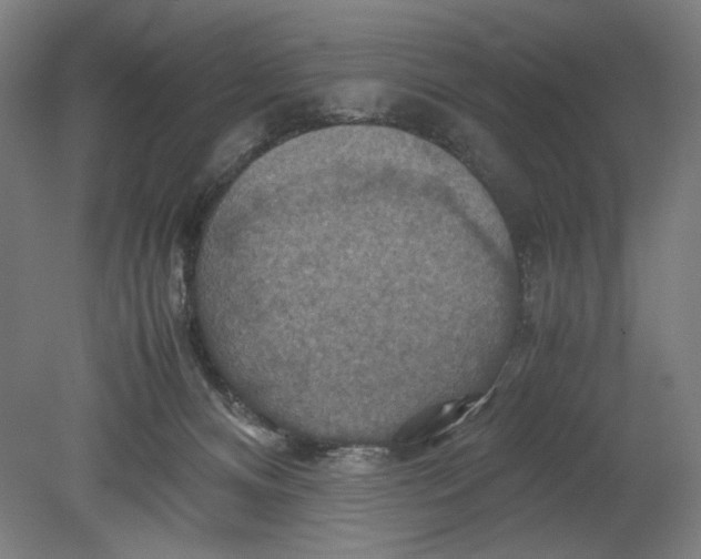 X0000080660128200701050952