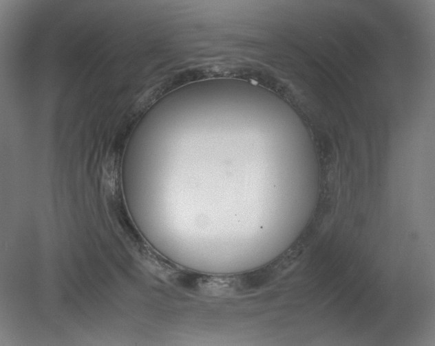 X0000080660129200701050952