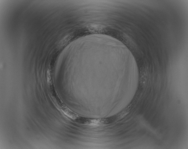 X0000080660130200701050952