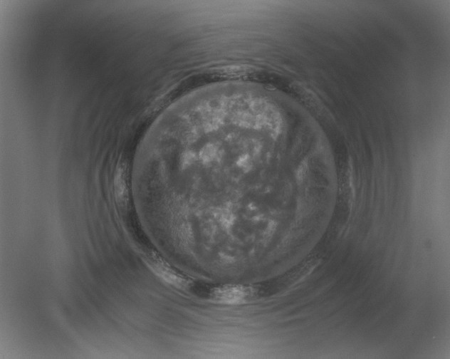 X0000080660131200701050952