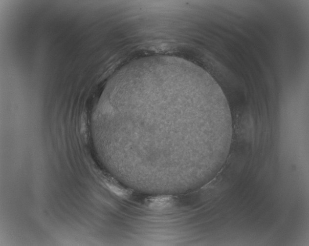 X0000080660132200701050952