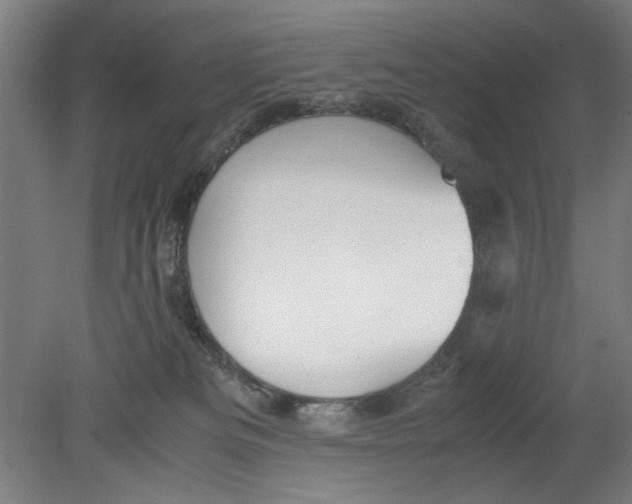 X0000080660133200701050952