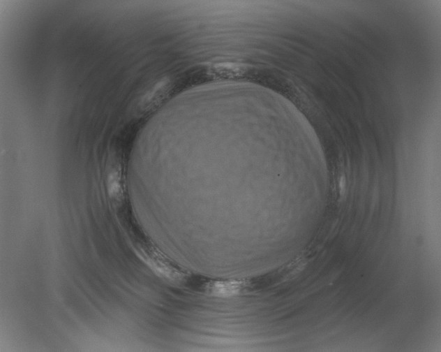 X0000080660134200701050952