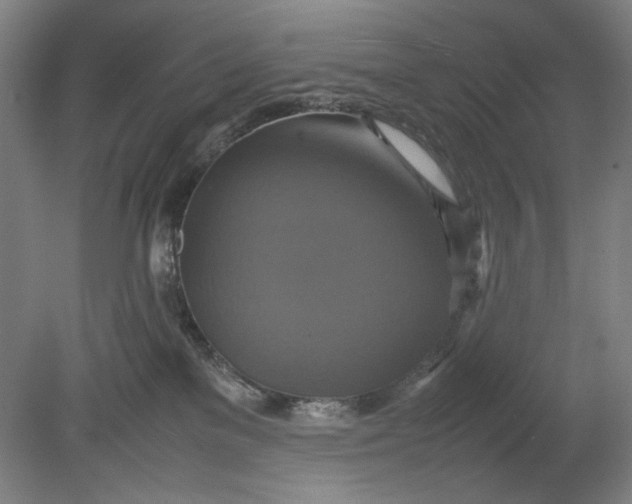 X0000080660137200701050952