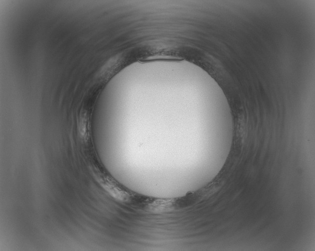 X0000080660138200701050952