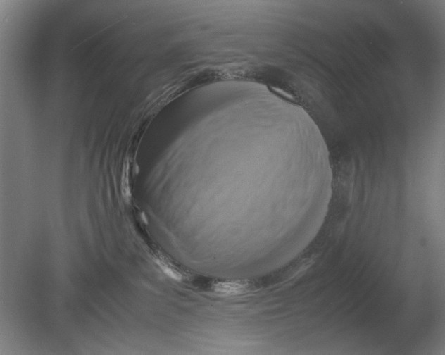 X0000080660139200701050952