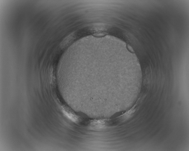 X0000080660140200701050952