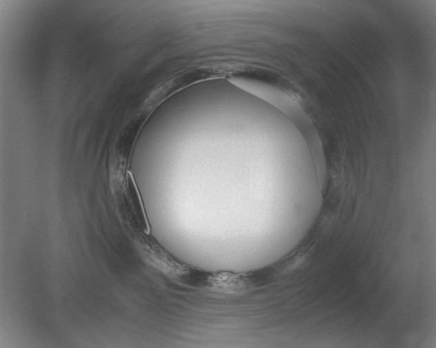 X0000080660141200701050952