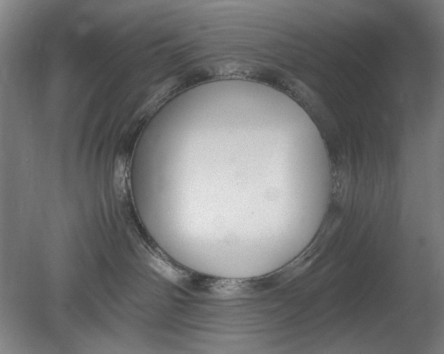 X0000080660142200701050952