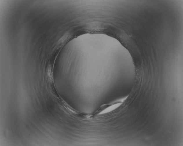 X0000080660143200701050952