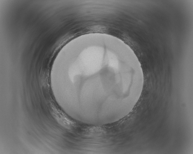 X0000080660146200701050951