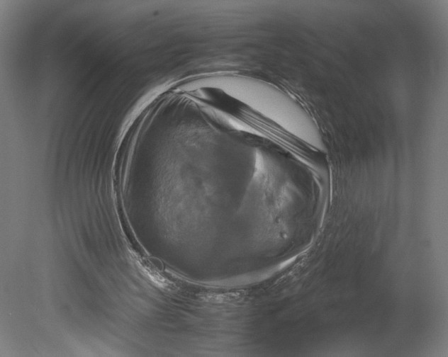 X0000080660147200701050951