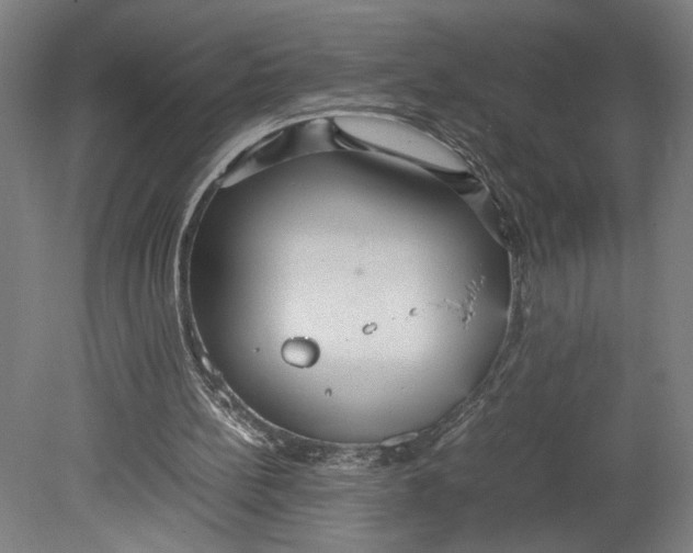 X0000080660148200701050951