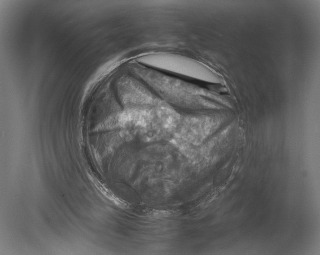 X0000080660149200701050951