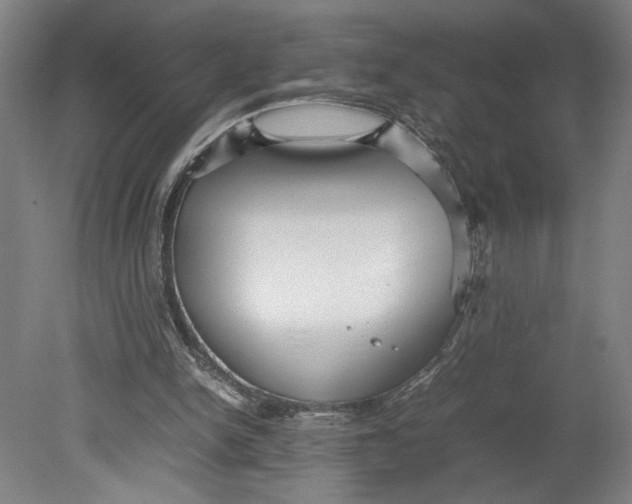 X0000080660150200701050951