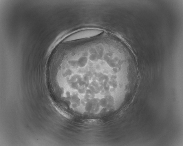 X0000080660151200701050951