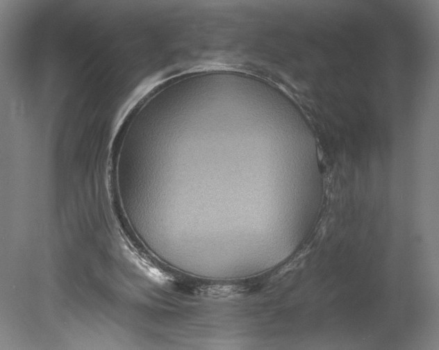 X0000080660152200701050951