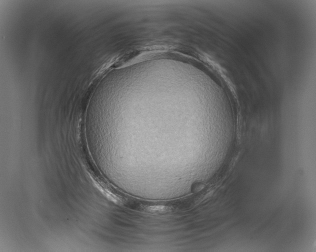 X0000080660153200701050951