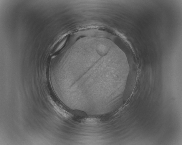 X0000080660154200701050951