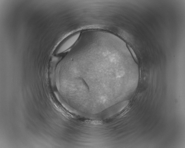 X0000080660156200701050951