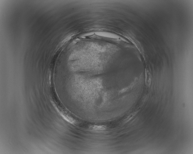 X0000080660157200701050952