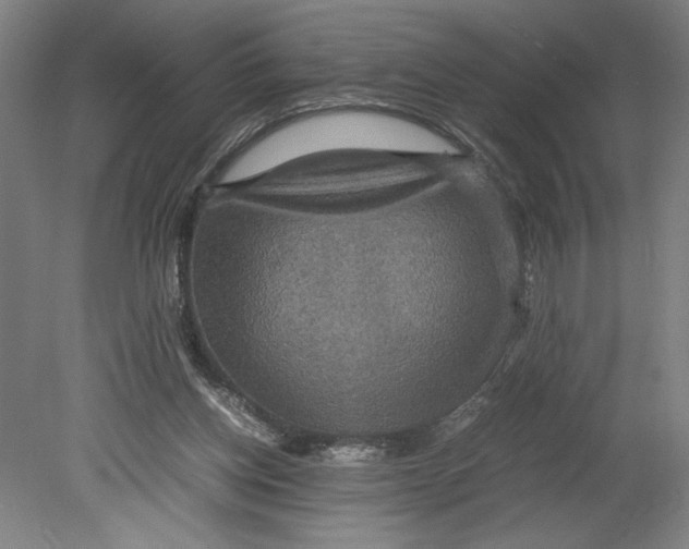 X0000080660158200701050952