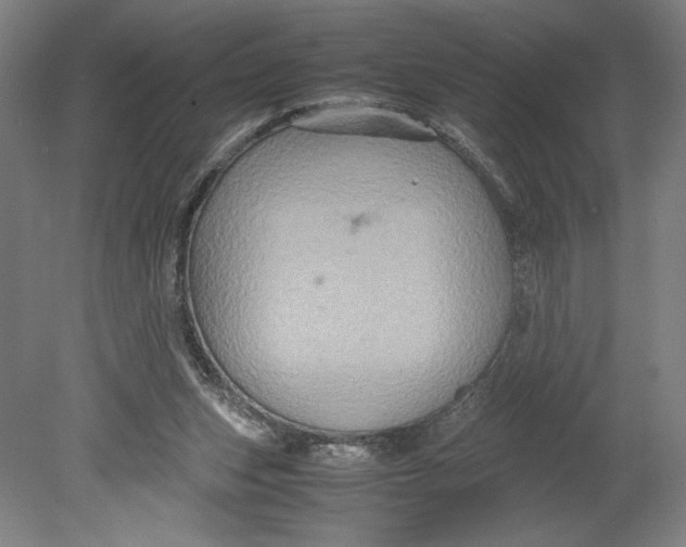 X0000080660159200701050952