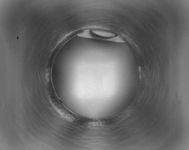 X0000080660160200701050952