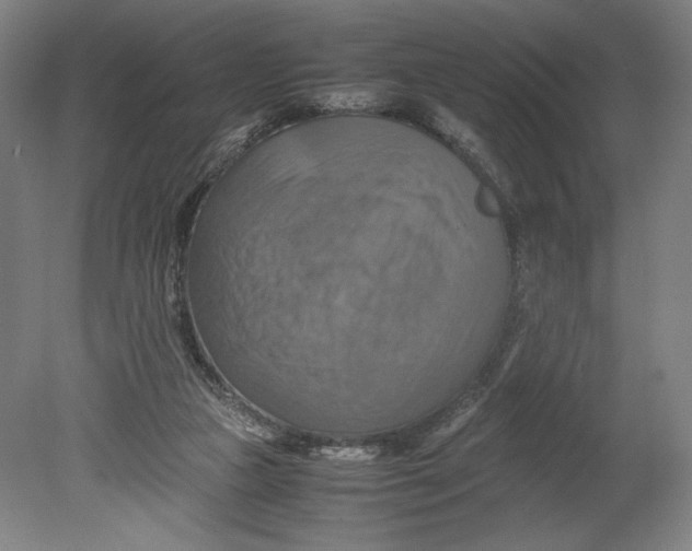 X0000080660161200701050952