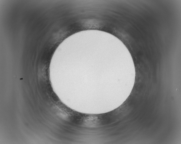 X0000080660162200701050952