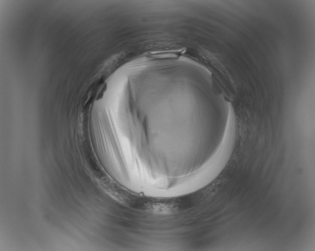 X0000080660163200701050952