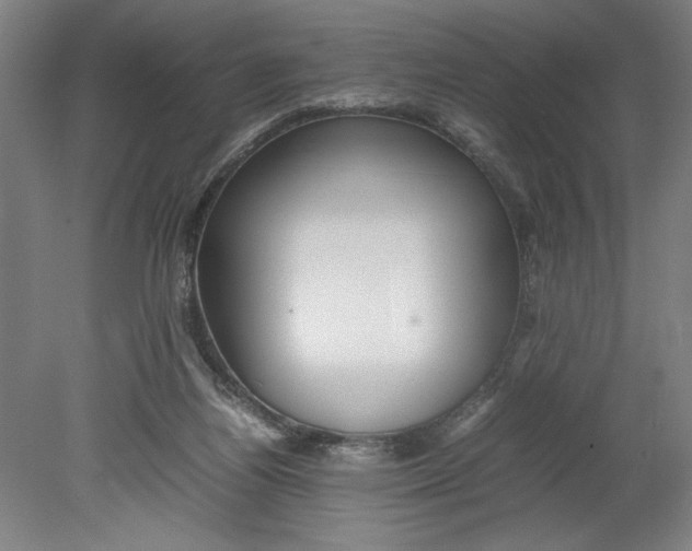 X0000080660164200701050952