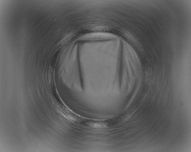 X0000080660165200701050952