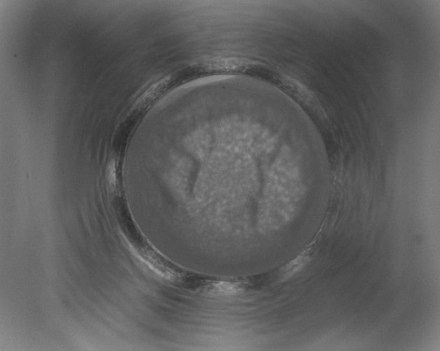 X0000080660166200701050952