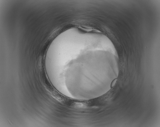 X0000080660167200701050952