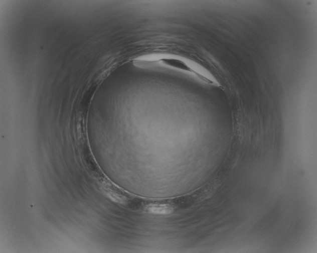 X0000080660169200701050952