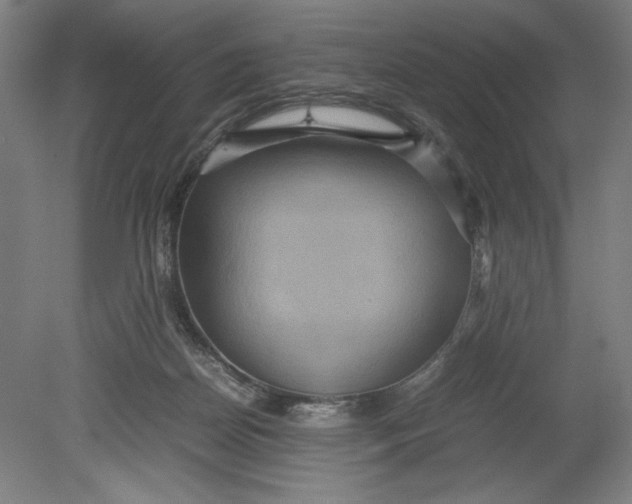 X0000080660170200701050952