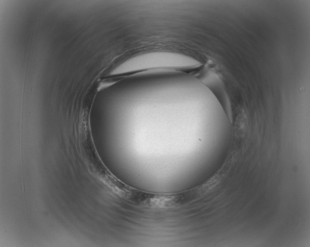 X0000080660172200701050952