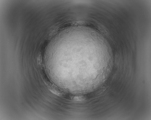 X0000080660173200701050952