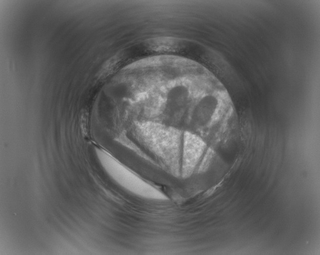 X0000080660175200701050952